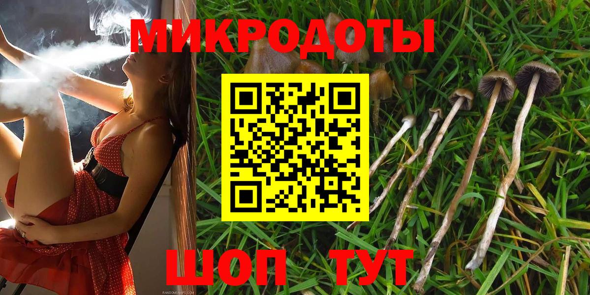 Галлюциногенные грибы прущие грибы  Вход с VPN  Георгиевск 